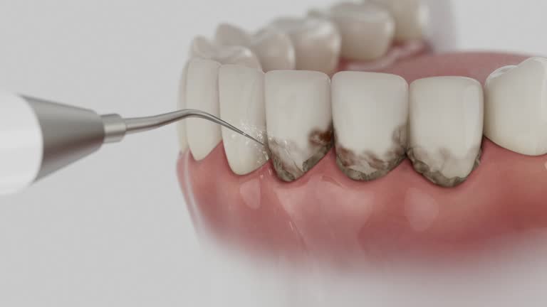 Reliable Dental contractor in Charlotte County County, VA by Dentist Open Now